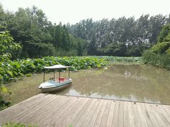 -溱湖国家湿地公园