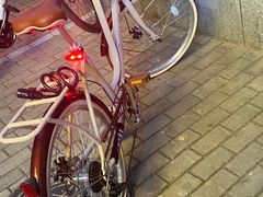 -道路口单车爱瓦士dahon大行