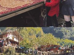 -林坑古村落