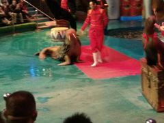 -烟台海昌鲸鲨海洋公园