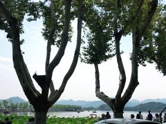 -西湖游船