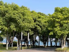 -金鸡湖景区