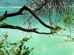 -羚羊峡古栈道森林公园