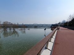 -灞河西岸滨河公园