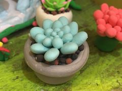 -学知乐教育·幼小衔接·小学科辅导(浦东外高桥森兰中心)