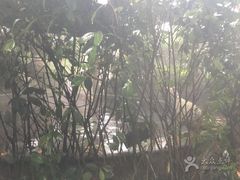 -杭州第一世界大酒店·云曼温泉