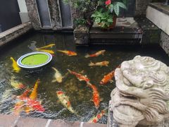 -馨园villa融合菜(东山店)