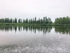 -白洋淀景区
