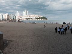 -汉拿树木园