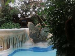 -长沙芙蓉国温德姆至尊豪廷大酒店 - 自助餐厅