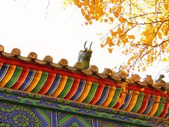 -香山公园