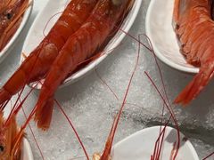 -雍容荟活波龙自助餐(IFS黑金店)