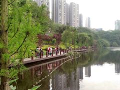 -重庆彩云湖湿地公园