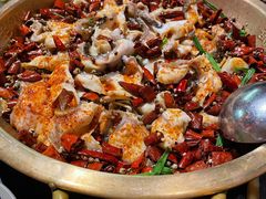 沸腾黑鱼-蜀都丰 川菜·水煮活鱼(万象九宜城店)