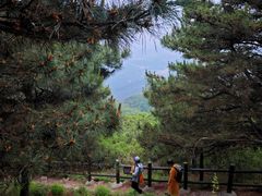 -北京十三陵国家森林公园蟒山景区