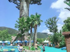 -苏州乐园森林水世界