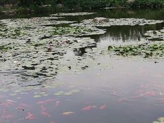 -白马涧龙池景区