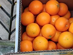 -泰康食品(南京东路店)