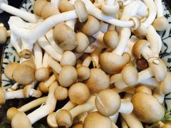 -新花城蟹粉馆(乌鲁木齐店)