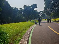 -张坝桂圆林公园