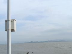 -深圳湾公园(南山区)