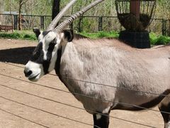 -大连森林动物园