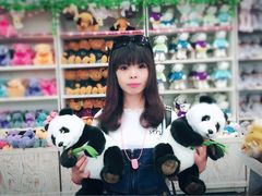 -济州岛泰迪熊博物馆