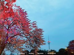 -红星桥(地铁站)