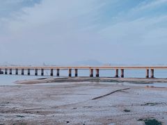 -海堤纪念公园