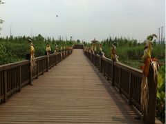 -苏州太湖国家湿地公园