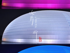 门面-国家大剧院