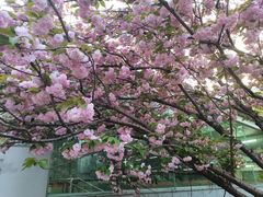 -上海游泳馆(地铁站)