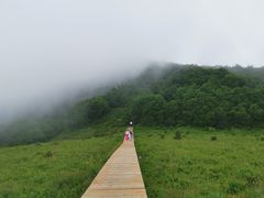 -白草畔自然风景区