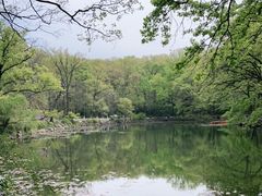 -灵谷景区
