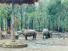 -北京野生动物园