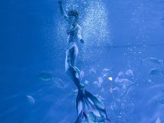 -烟台海昌鲸鲨海洋公园