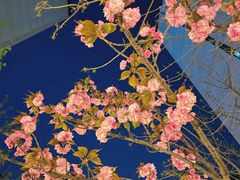 -绿岛汤泉韩式休闲会所