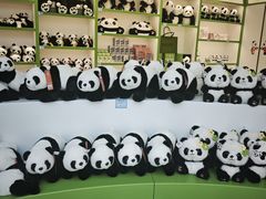 -秦皇岛野生动物园