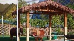 -萌宠亲子动物乐园(槐房万达店)