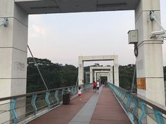 -东莞植物园
