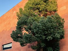 -中国美术学院象山校区-民艺博物馆