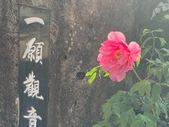-医王山·飞騨国分寺