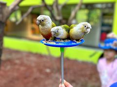 -北京野生动物园