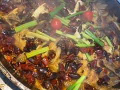 -老板恋上鱼(恒隆广场店)