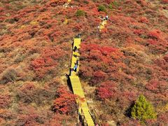 -水峪民俗村