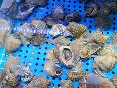 -前王院•巧克力海鲜市集餐厅(万平口店)