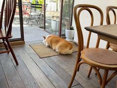 -肥朵食堂(带梦胡同店)