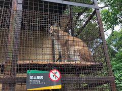 -昆明动物园