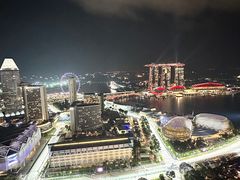 -新加坡瑞士史丹福酒店