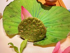 -叶叶菩提(太原别墅店)